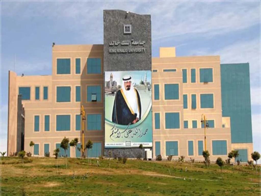 King Khaled University